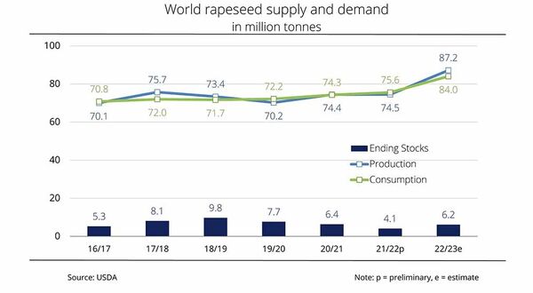 Rapeseed consumption increasing worldwide