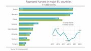 France and Germany remain EU’s top rapeseed producers