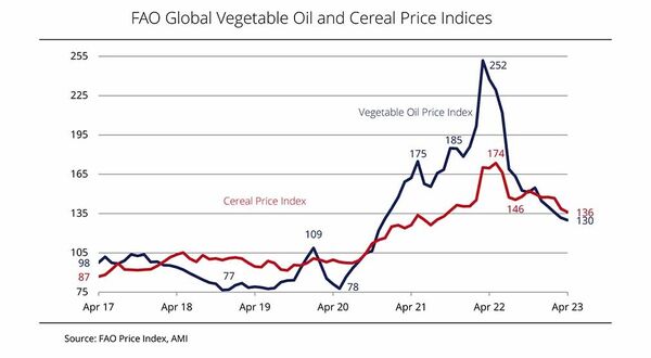 Global vegetable oil prices drop to levels prior to Russia/Ukraine war