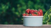 Edible CBD coating could extend shelf life of fruit