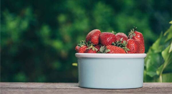 Edible CBD coating could extend shelf life of fruit