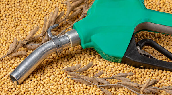 Paraguayan and Argentine agricultural unions question proposed European restriction on soyabeans in biofuel use
