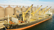 Drone attack damages Ukraine grain terminal