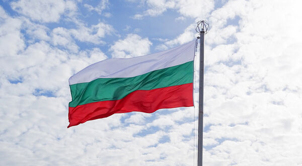 Bulgaria’s oilseed production remains steady