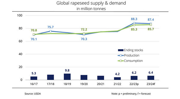 Canada set to be the world’s largest producer of rapeseed in 2023/24
