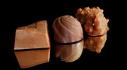 Cocoa-free chocolate producer raises US$52M