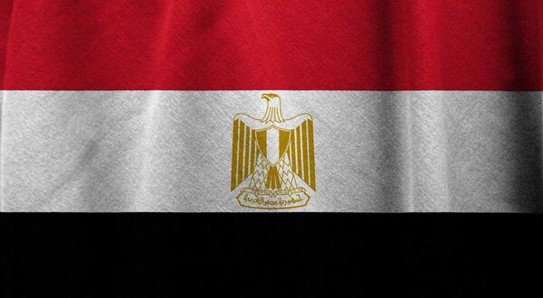 Egypt’s GASC picks up 63,000 tonnes of sunflower oil