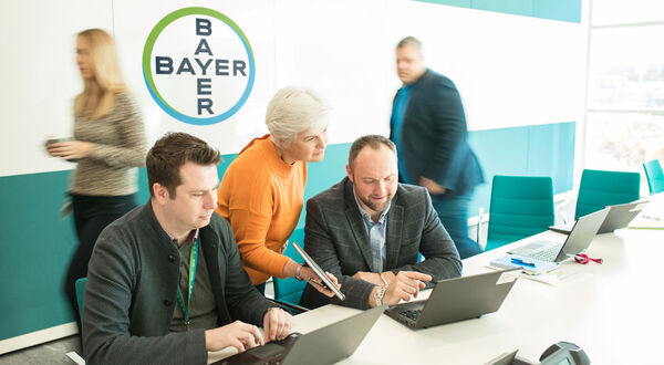 Bayer shares plunge after cash-raising plans unveiled