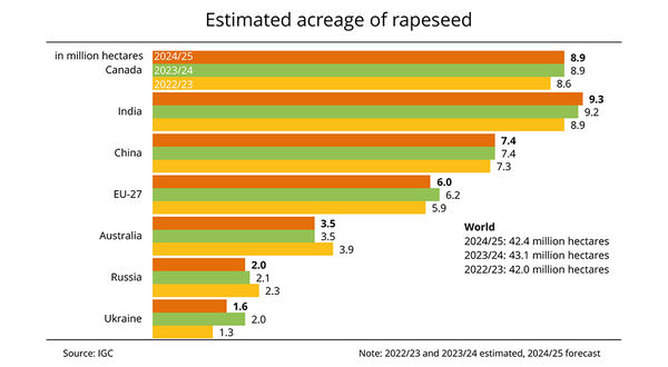 IGC forecasts decline in global rapeseed area in 2024