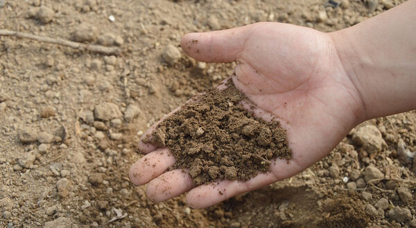 Bayer’s GM soil microbes pose soil contamination risk