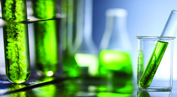 AAK partners with Checkerspot to develop new sustainable algae oil