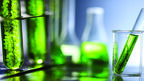 Algae oil applications