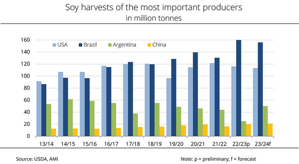 Brazil and Argentina set to maintain share of global soyabean market this year