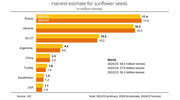 Rise in global sunflowerseed production forecast in 2024/25 due to higher yields