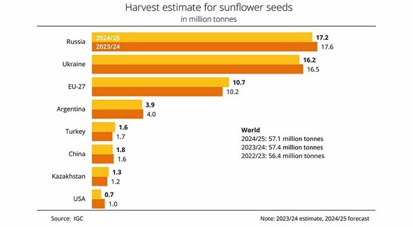 Global sunflowerseed output in 204/25 forecast below previous year’s level