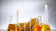EBRD to loan €60M for first biofuels project in Ukraine since Russian invasion