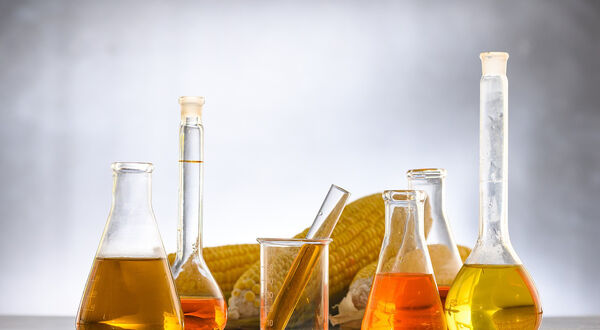 EBRD to loan €60M for first biofuels project in Ukraine since Russian invasion