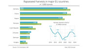 EU rapeseed harvest set to fall by up to 1.3M tonnes this year from 2023
