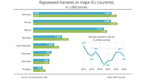 EU rapeseed harvest set to fall by up to 1.3M tonnes this year from 2023
