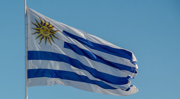 Avalon BioEnergy set to develop US$380M SAF biorefinery in Uruguay