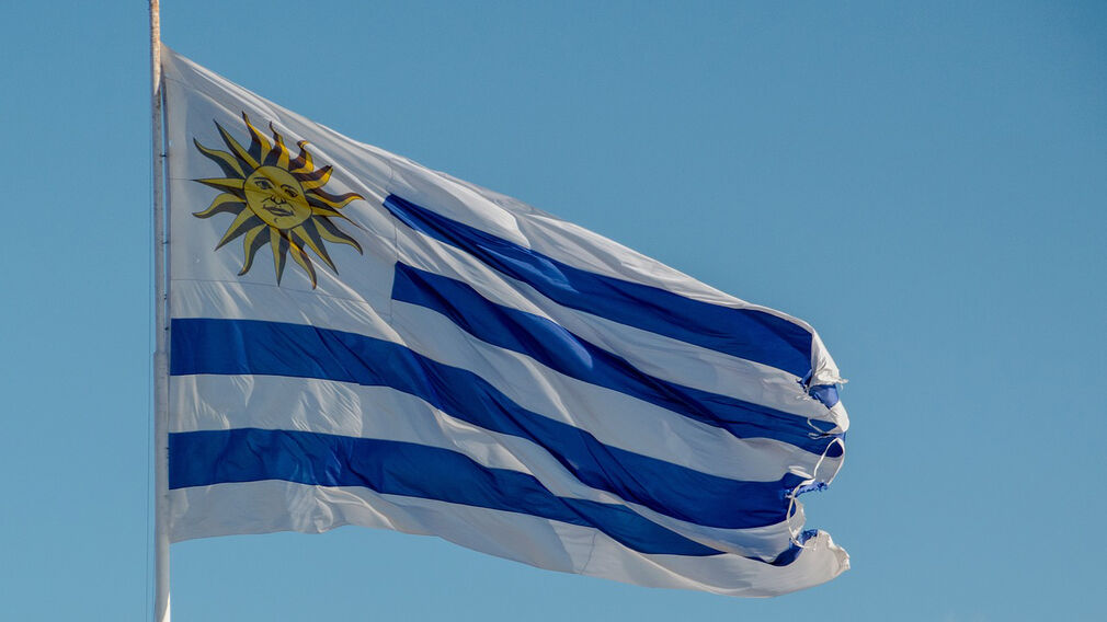 Uruguayan soyabean production is forecast to rebound sharply in 2026/27. Image source: Pixabay