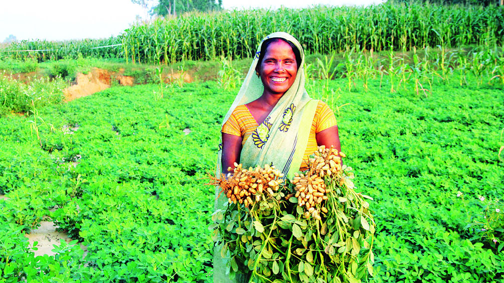 Source: Agrocrops