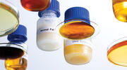 Rendering - Rise of animal fats in biofuels