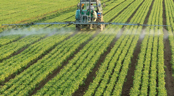 Weather stabilising in key global production areas