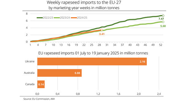Higher EU demand for rapeseed imports due to reduced harvest