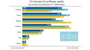 Hungary becomes EU’s leading sunflowerseed producer for the first time