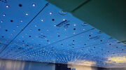 BioLumic launches commercial light-activated seed traits