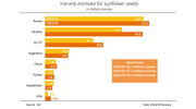 Smallest global sunflowerseed harvest in four years