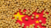 China’s soyabean demand and crushing projected to grow