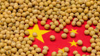 China expects to reduce soyabean imports in 2026/27