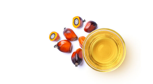 Malaysia’s palm oil exports fall in first half of April due to drop in shipments to the Middle East