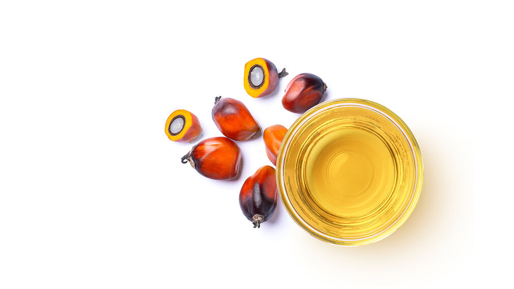 Global crude palm oil prices could surge to US$1,500/tonne in the second half of 2026. Image source: Adobe Stock
