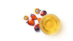 Palm oil prices could reach US$1,500/tonne as B50 and El Niño tighten supply