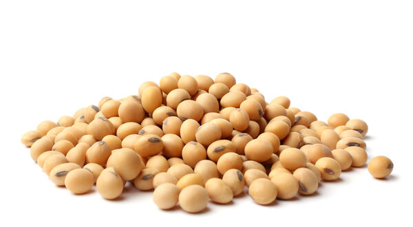 Bunge to acquire soya assets from IFF