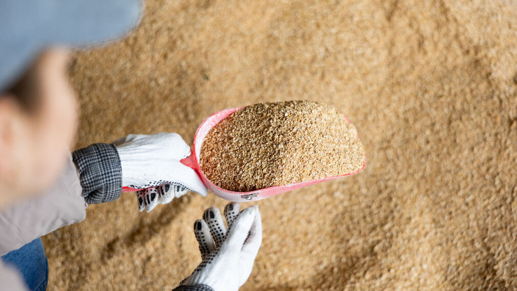 The USDA has raised its forecast for 2025/26 soyabean meal imports into the EU by 1M tonnes to total 19.5M tonnes. Image source: Adobe Stock