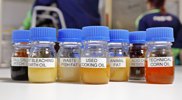 Enzymatic biodiesel