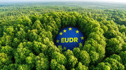 EUDR delay confirmed with European Parliament vote