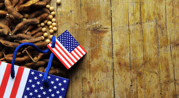 EU risks losing US soyabean imports under deforestation rules, Washington warns