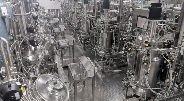 EcoPHA develops process to produce bioplastics and biofuels from pongamia oil