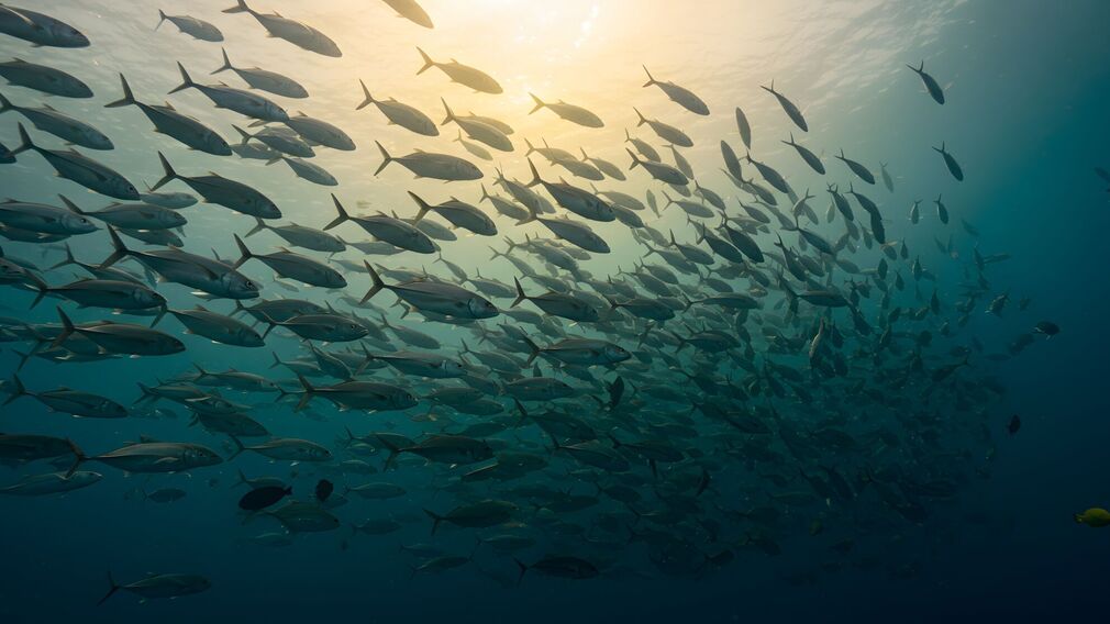 Image source: Adobe Stock
