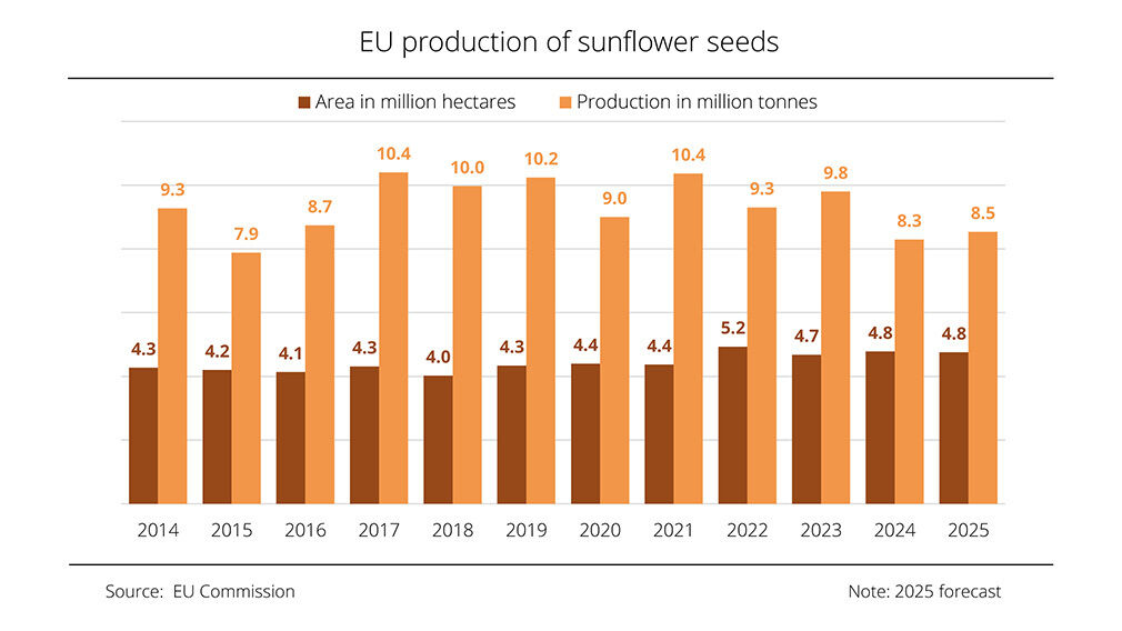 Sunflowerseed production in the EU is expected to be its third lowest volume in a decade in 2025. Image source: EU Commission