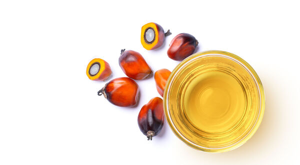 Global palm oil prices set to soar as Indonesia’s biofuel push tightens supply