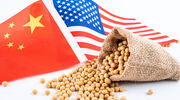 China’s commitment to purchase set volume of US soyabeans questioned