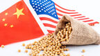 Chinese purchases of US soyabeans pick up