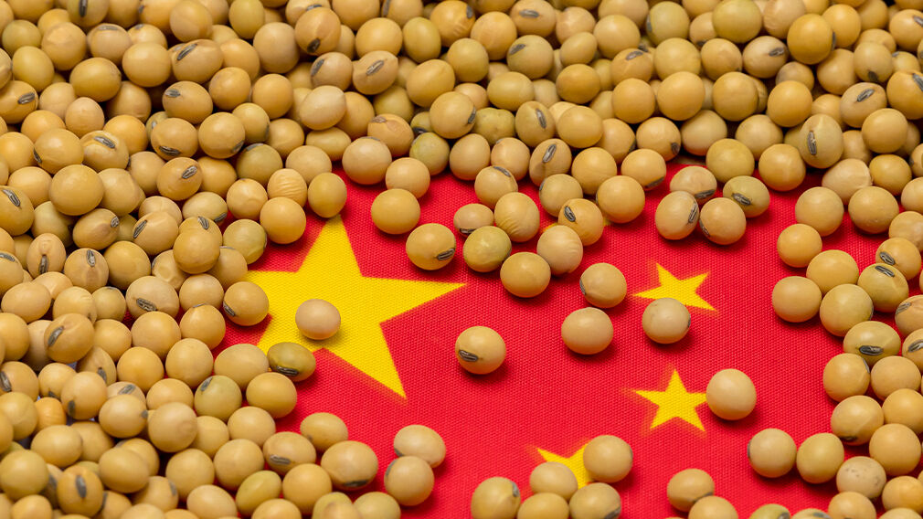 The Chinese government has signalled strong demand for soyabean imports in 2026. Image source: Adobe Stock