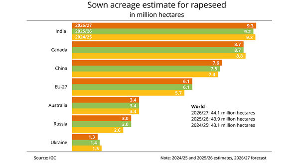 IGC forecasts rise in global rapeseed planted area in 2026/27 driven by expansion in Asia